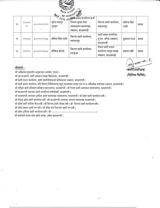 p3.jpg